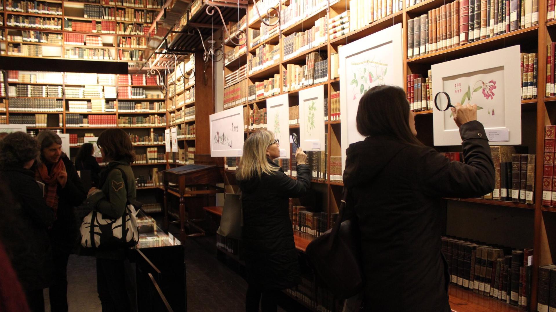 Visitantes revisando con lupas algunas láminas de una exposición temporal 