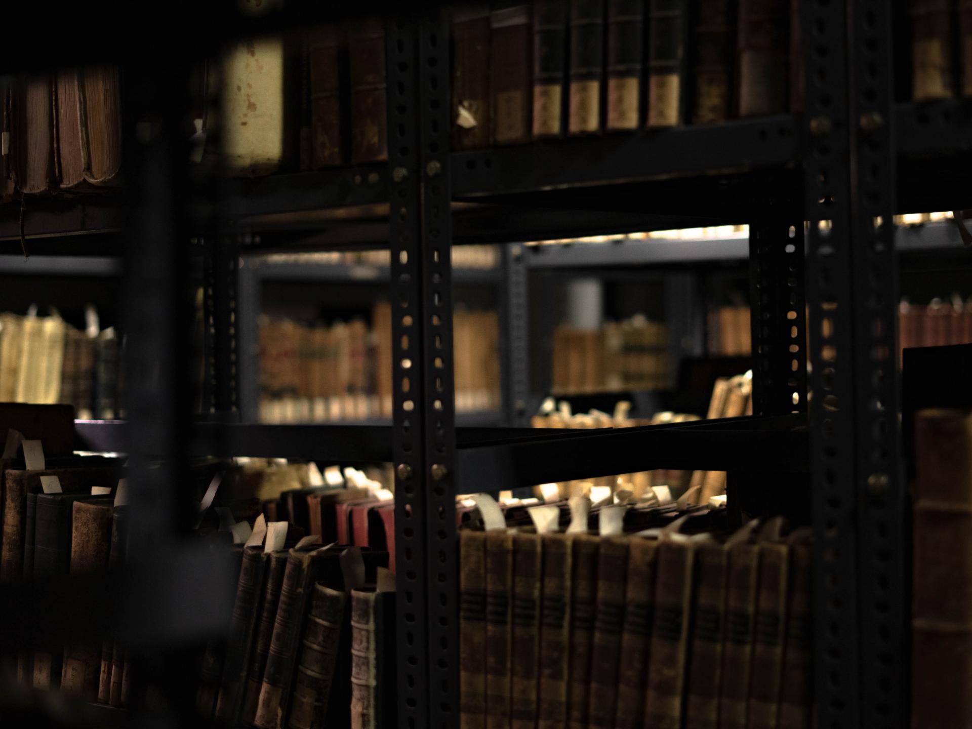 Vista de los estantes en un depósito de la Biblioteca